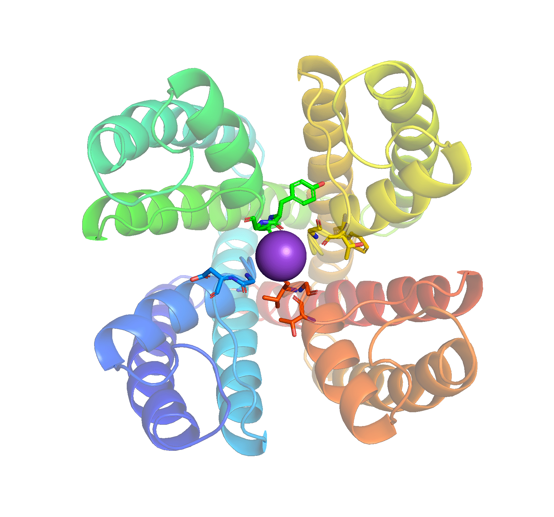 Exercise 0a - Showing proteins from their best side