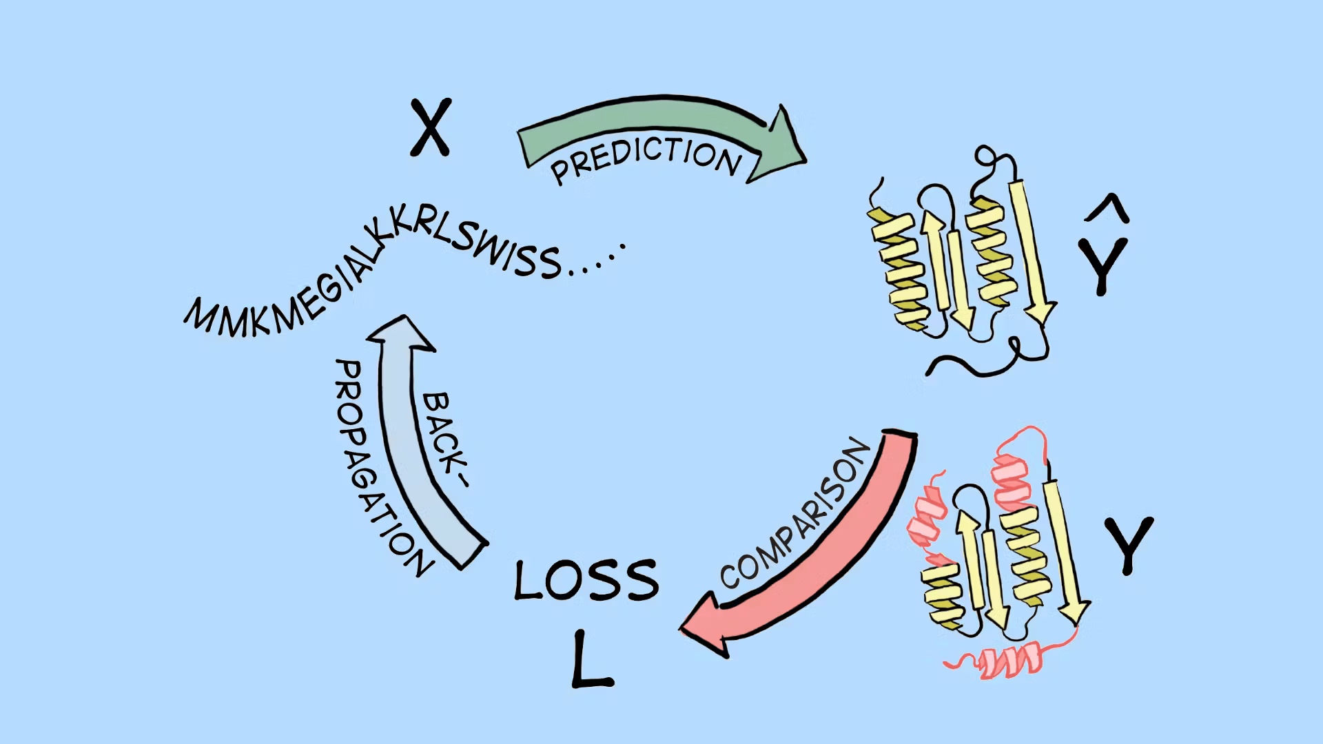 Lesson 6 - Protein structure prediction